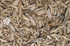 biomass boilers Adstock